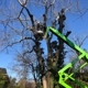 Schnell Tree Service LLC