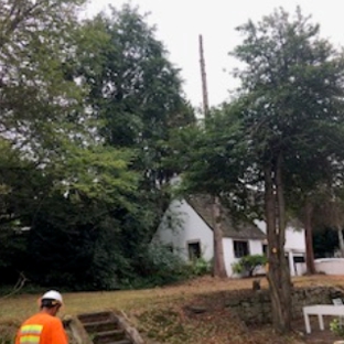 Luisiana Tree Services LLC - Shelton, WA