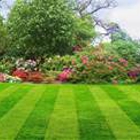 Prestigious  lawn care