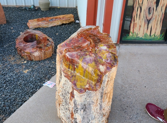 Jim Gray's Petrified Wood Co. - Holbrook, AZ