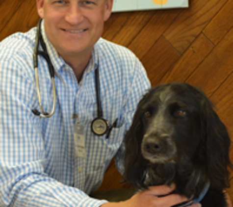 Companion Animal Hospital Mount Prospect - Mount Prospect, IL