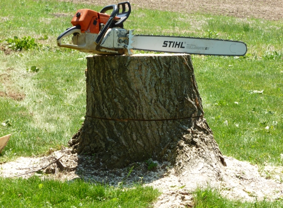 Best Stump Removal - Scottsville, NY