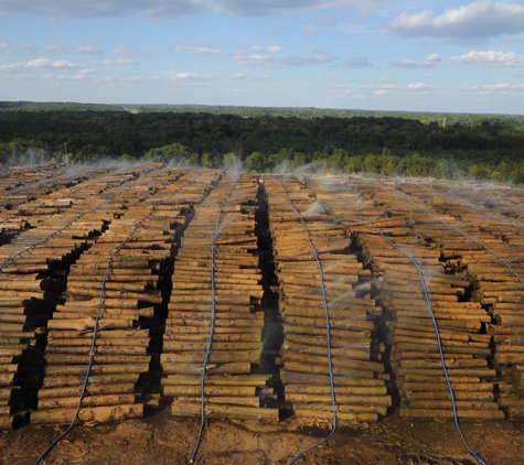 Linden Lumber, LLC - Linden, AL