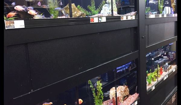 Tropical Fish & More Pet Supply - Boutte, LA