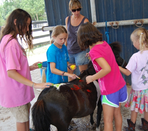 Southern Breeze Equestrian Center - Fresno, TX