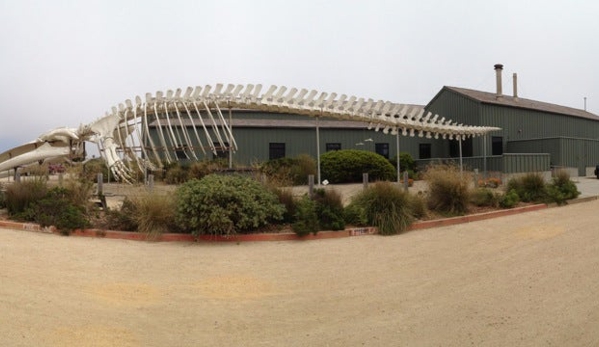 Seymour Marine Discovery Center