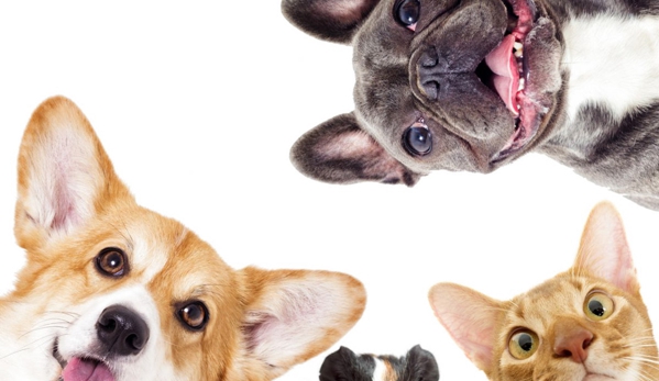 Torenbeek Veterinary Clinic - Frenchville, QLD