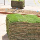Cornett Grass Sales & Installation - Sod & Sodding Service