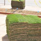 Cornett Grass Sales & Installation