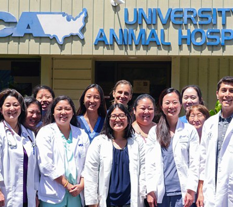 VCA University Animal Hospital - Honolulu, HI
