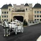 Dream Horse Carriage Company