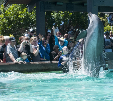 SeaWorld San Diego - San Diego, CA