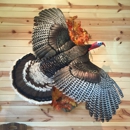 Trophy Room Taxidermy - Taxidermists