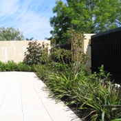 Gallery Image Number 3