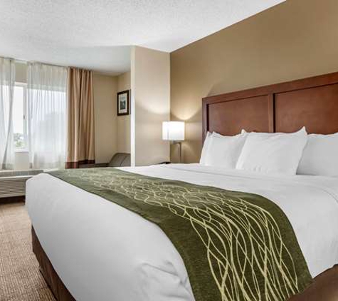 Comfort Inn & Suites Dimondale - Lansing - Dimondale, MI