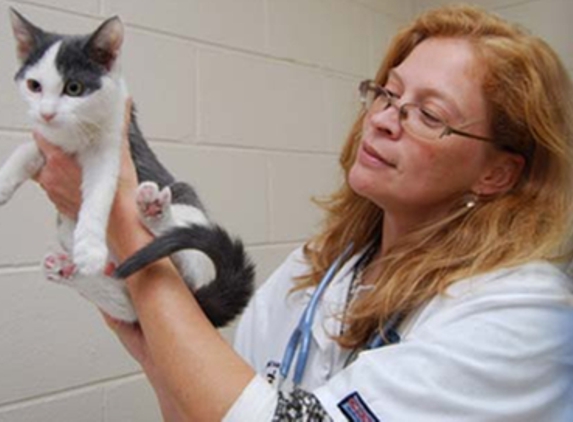 Small Animal Hospital - Johnson City, TN