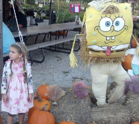 Mason Farms Country Market - Erie, PA