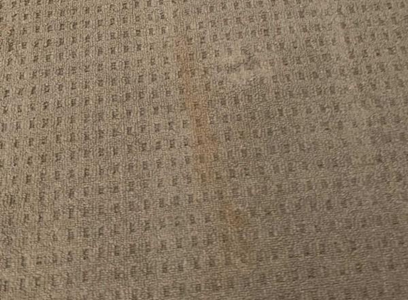 D and R Carpet Cleaning - Morley, WA. ONE of the carpets