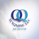 SYNQMINE LLC - Bookkeeping