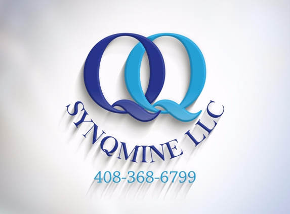 SYNQMINE LLC - San Jose, CA