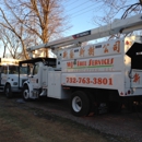 WJ Tree Services - Tree Service