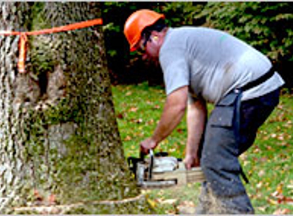 All American Tree Service - Lithia Springs, GA