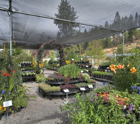 Rock & Rose Inc - Truckee, CA