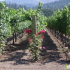 Revana Family Vineyards