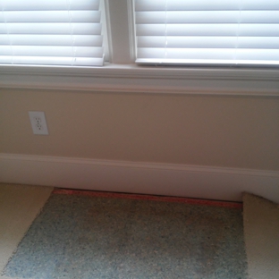 The Carpet Handyman - Durham, NC. Mold Removal from a basement.