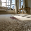 American Carpet Cleaning Professionals gallery