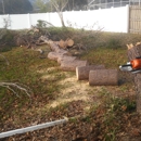 Matt's Pro Arbor Care, Inc. - Tree Service