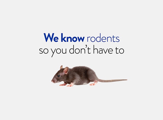 Termitrust Pest Control Experts - Kunda Park, QLD