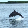 Great Day Boat Tours gallery