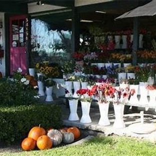 Browne's Florist & Flower Delivery - Dana Point, CA