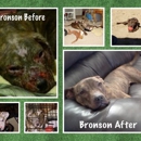 A Wish For Animals - Animal Shelters