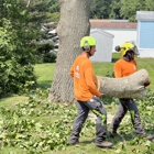 Walnut Tree Service