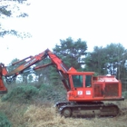 Back Woods Land Clearing