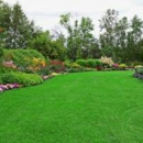 Alief Lawn Care - Landscaping & Lawn Services
