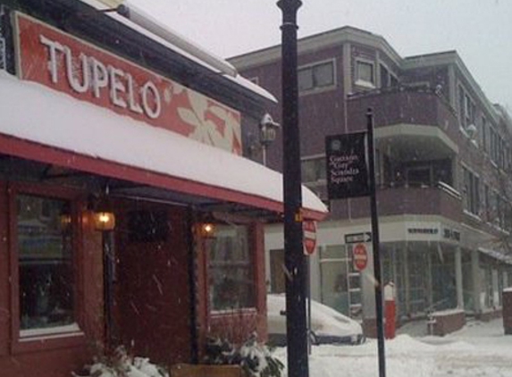 Tupelo - Cambridge, MA