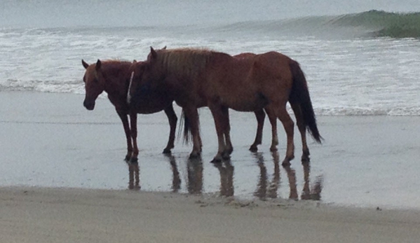 Corolla Outback Adventures - Corolla, NC