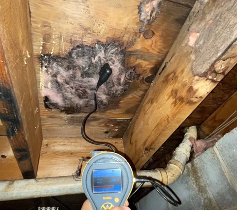 Water Damage Pros Nashville - Nashville, TN