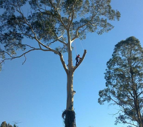 Snowy Mountains Tree Service Pty Limited - Cooma, NSW