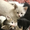 Pet Warehouse gallery