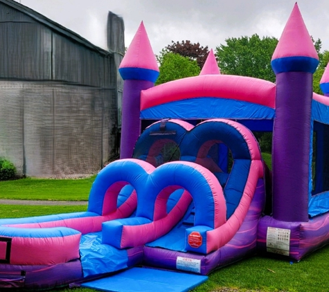 Five Little Monkeys - Bounce House, Water Slide & Tent Rental Specialists - Livonia, MI