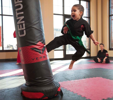 Dojo Karate - Waconia - Waconia, MN