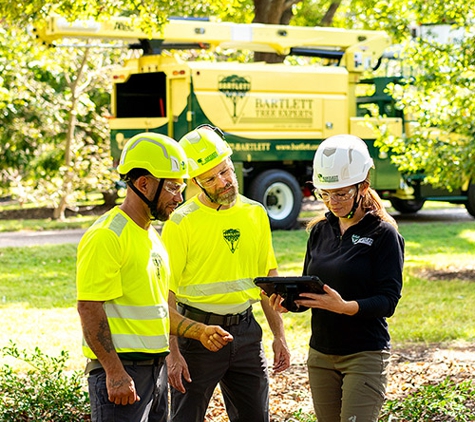 Bartlett Tree Experts - Dallas, TX - Dallas, TX