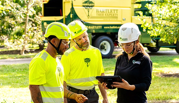 Bartlett Tree Experts - Fredericksburg, VA - Fredericksburg, VA