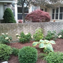 The Sweedish Gardener - Landscaping & Lawn Services