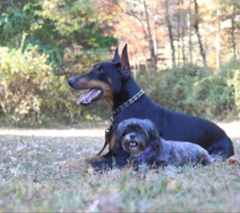 Indian Creek Kennel - Carbondale, IL