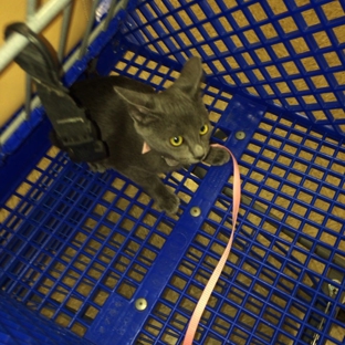 PetSmart - Peachtree City, GA